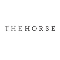 THE HORSE