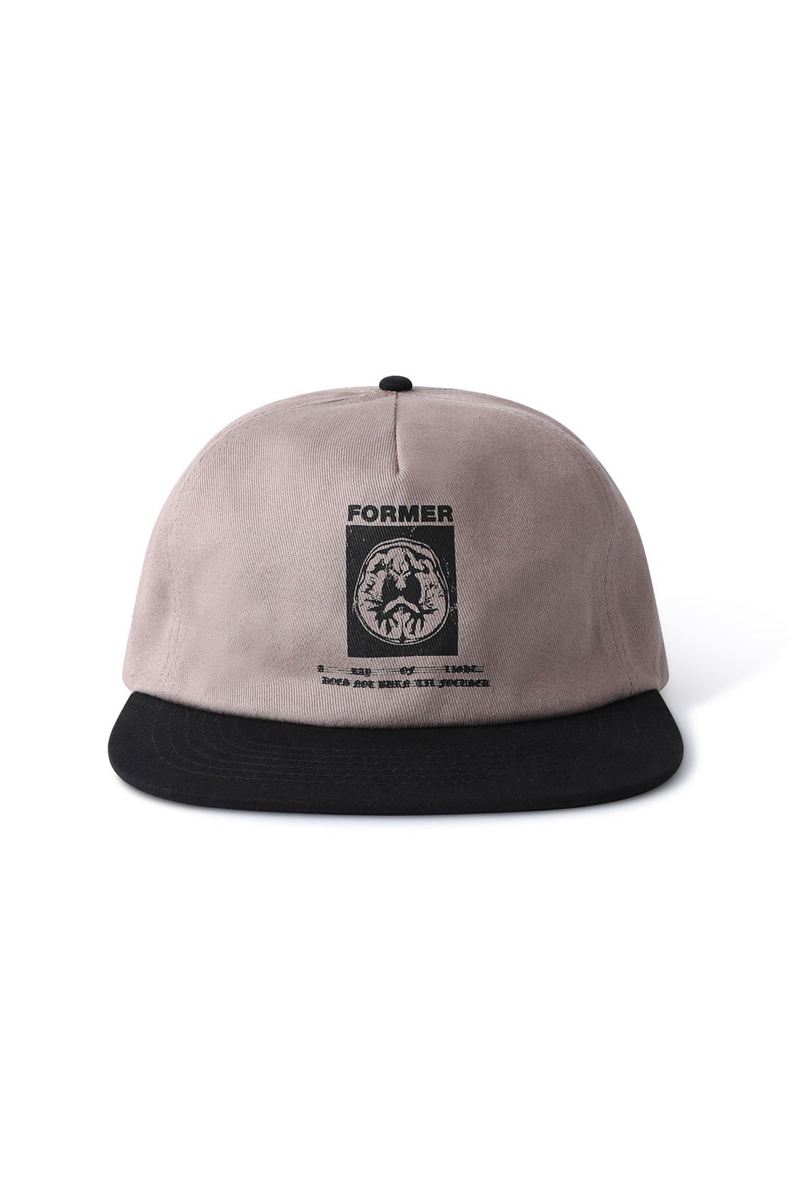BRAINSCAN CAP (Black Mushroom)