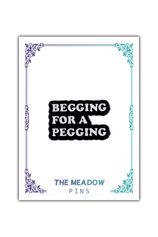 BEGGING FOR A PEGGING LAPEL PIN